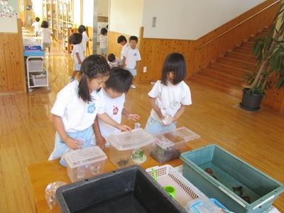 生き物のお世話