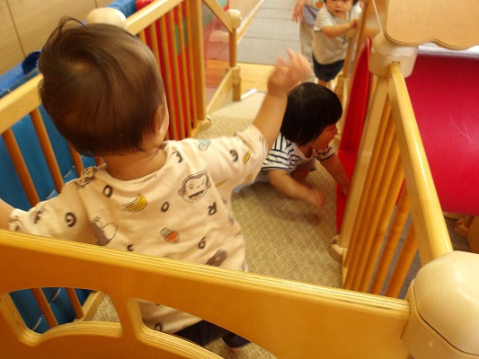 みんな～こっちだよ～