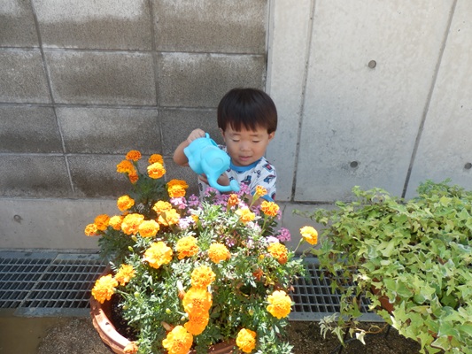 水あそびの途中に