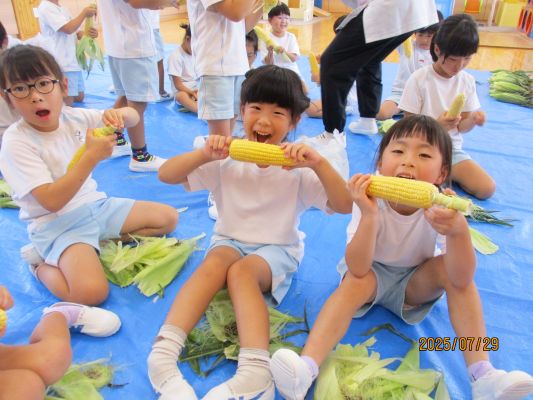 食育(とうもろこしの皮むき)