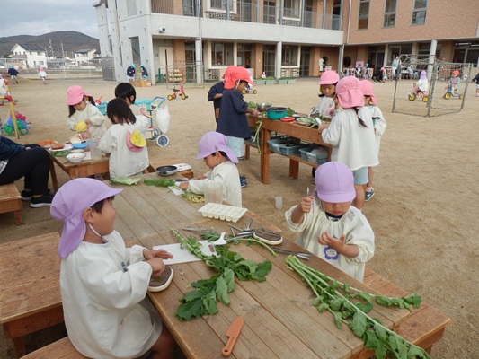 大根の葉っぱで
