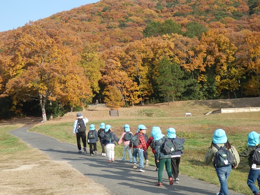 龍ノ口山頂登山