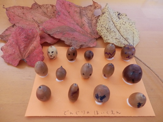 どんぐりほいくえん