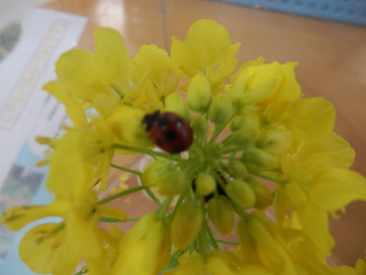 令和8年度スタートしました😊